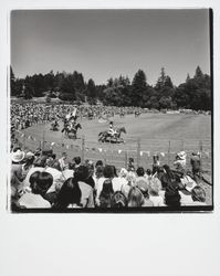 Guerneville rodeo, Guerneville, California, 1978