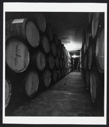 Wine barrels in a wine cellar