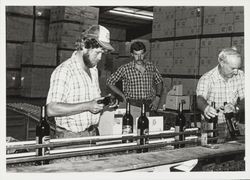 Family bottling line at Seghesio Winery