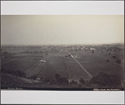 View of Santa Rosa, California, about 1905