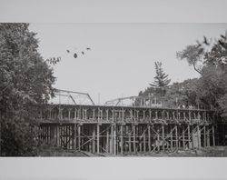 Construction of new Dry Creek Bridge, Dry Creek Valley, Healdsburg, California, 1951