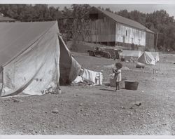 Young girl at her hop picking camp site near Wohler Road, Healdsburg, California, in the 1920s