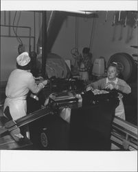 Processing chickens at Reif and Brody, Petaluma, California, 1960