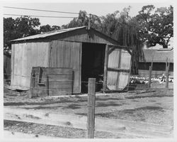 View of chickens around their chicken coops