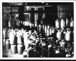 Milk cans at Petaluma Cooperative Creamery, Petaluma, California, 1920