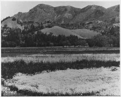 Mount Saint Helena from Franz Valley, 1960s or 1970s