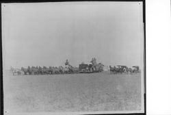 Horses pulling farm machinery