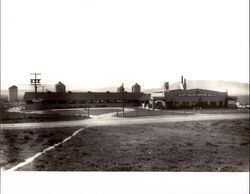 Sleepy Hollow Certified Milk Co., Petaluma, California, about 1938