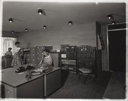 Chamber of Commerce office in the Flamingo Hotel, Santa Rosa, California, 1957