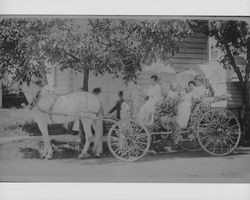 Misses Hahman in carriage decorated for Rose Parade, Santa Rosa , California, 1911