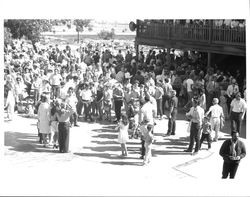 Whiskerino contestants and winners at the Old Adobe Fiesta, Petaluma, California, about 1972