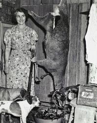 Lily Rossini stands with rifle, dogs and a deer, about 1938