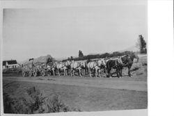 Double covered wagon drawn by team of ten horses