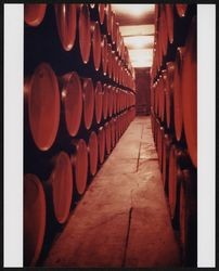 Wine barrels in an unidentified winery