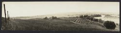 Panoramic view of the Petaluma area, Petaluma, California, about 1892