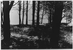 Unidentified view of the Russian River