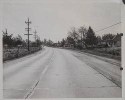 Highway 101 (Old Redwood Highway), south of Cotati, California, March 27, 1954