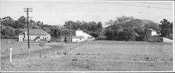 Farm in Chileno Valley, Petaluma, California, 1949