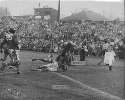 Leghorns and San Francisco Broncos play to 21-21 tie in Egg Bowl, Petaluma, California, Dec. 10,1950