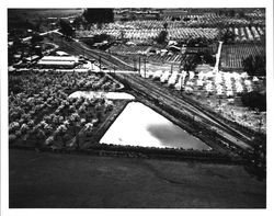 Aerial view of ponds at California Poultry, Fulton, California, 1962