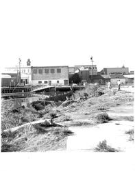 View of Water Street and the tops of Petaluma Boulevard buildings, Petaluma, California, about 1959