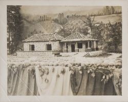 Replica of Graton town buildings made of apples