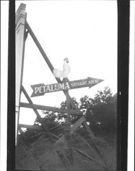 Petaluma, California straight ahead directional arrow with chicken, 1922