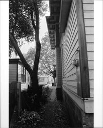 Interior of Sweet house, Santa Rosa, California, between 1986 and 1987