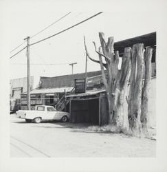 Rear of Barbieri Furniture Store