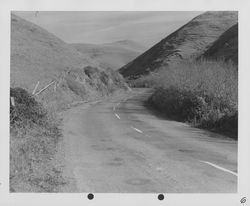 Bodega Highway east of Bodega Bay, about 1949