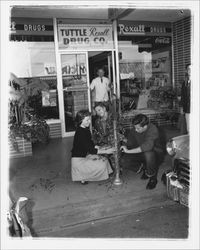 Decorating parking meters with branches, Petaluma, California, 1955