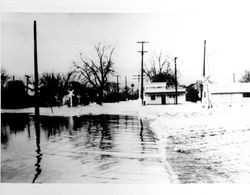 A. F. Stevens Lumber Company during a flood, Geyserville, California, about 1937