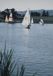 Sailboats on Spring Lake