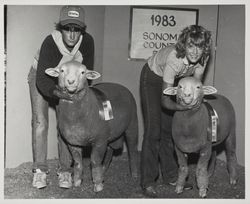 Prize winning sheep and their showmen at the Sonoma County Fair, Santa Rosa, California, 1983