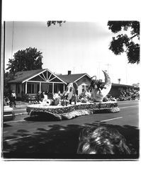 Clover Dairy float in the Sonoma-Marin Fair Parade, Petaluma, California, 1967