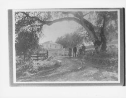 Unidentified Petaluma, California farm family outside their home