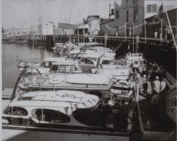 Boats moored to the pier in the turning basin of the Petaluma River, Petaluma, California