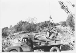 Heavy equipment moving boulders and gravel for a retaining wall along the Russian River