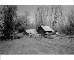 Residences and outbuildings at Andresen Ranch, Penngrove, California, 1992