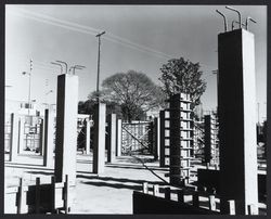 Erecting support beams for Library, Santa Rosa, California, 1966