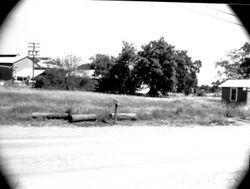 California Wine Association Winery, Windsor, California, about 1989