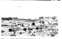 Chicken ranches, the Cinnabar district, Petaluma, Cal