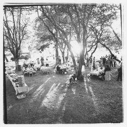 Barbecue at Annadel State Park, Santa Rosa, California, 1971