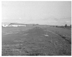 Petaluma Sky Ranch runway