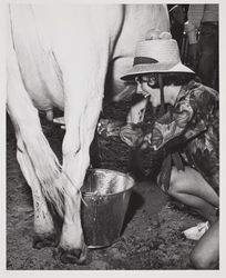 Milk Maid Contest participant at the Sonoma County Fair, Santa Rosa, California, July 19, 1964