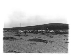 Cars parked at Bodega Head with people gathering for demonstration against PG&E, Petaluma, California, 1963