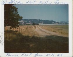 Golden West Poultry Farms, Sonoma, California(?), 1966