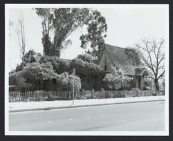 Hoag family home, Santa Rosa, California, 1982