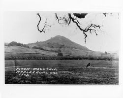 Fitch Mountain, Healdsburg, California