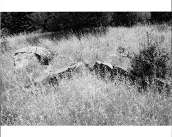 Remains of a basalt tailings foundation originally part of a barn located at 1480 Los Olivos Road, Santa Rosa, California, 1987